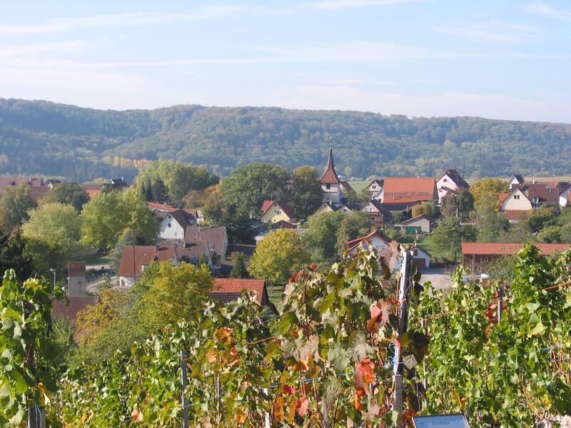 Stadtansicht von Ochsenbach im Sommer umgeben von Weinbergen