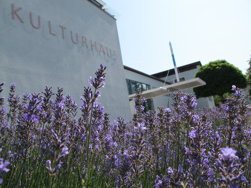 Blick über Lavendelbüsche auf Gebäude mit Aufschrift Kulturhaus