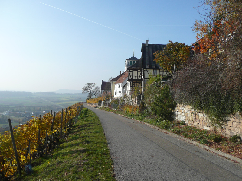 Eine schmale Straße führt an Fachwerkhäusern vorbei, flankiert von Weinbergen auf der linken Seite und einer Steinmauer auf der rechten Seite, mit einer weitläufigen Landschaft im Hintergrund.