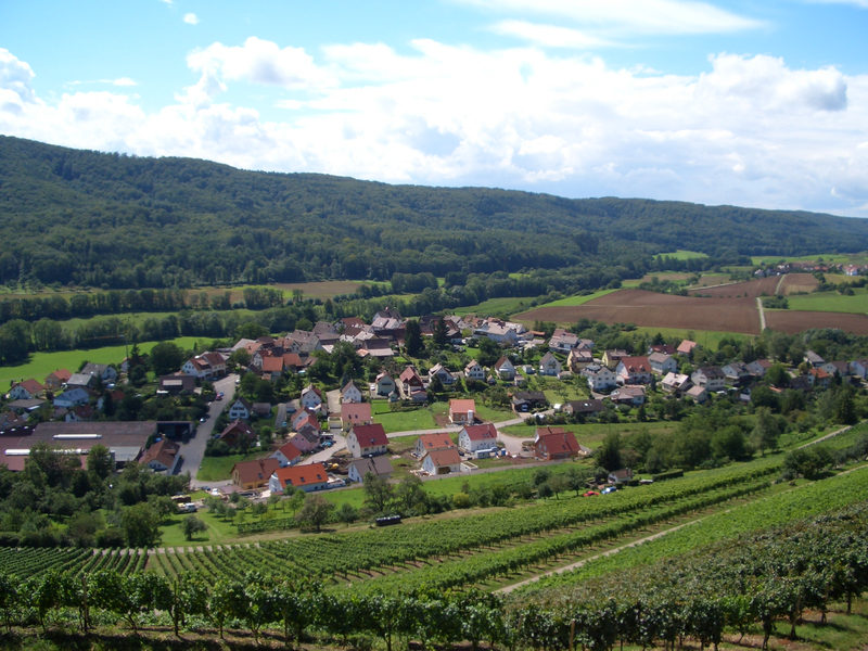 Ein kleines Dorf liegt eingebettet in einer sanften, grünen Hügellandschaft, umgeben von Weinbergen und Feldern.