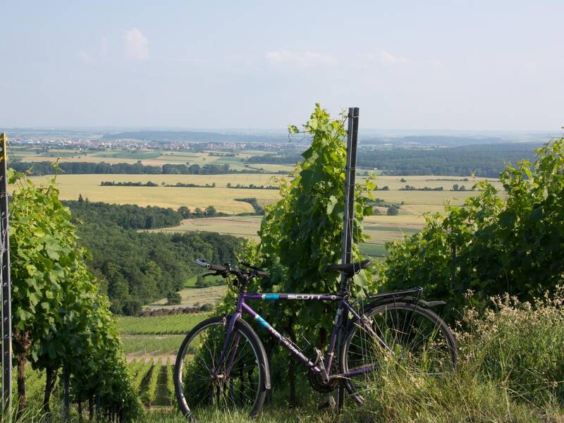 Ein Fahrrad lehnt an einem Pfosten zwischen grünen Weinreben mit einer weiten, ländlichen Landschaft im Hintergrund.