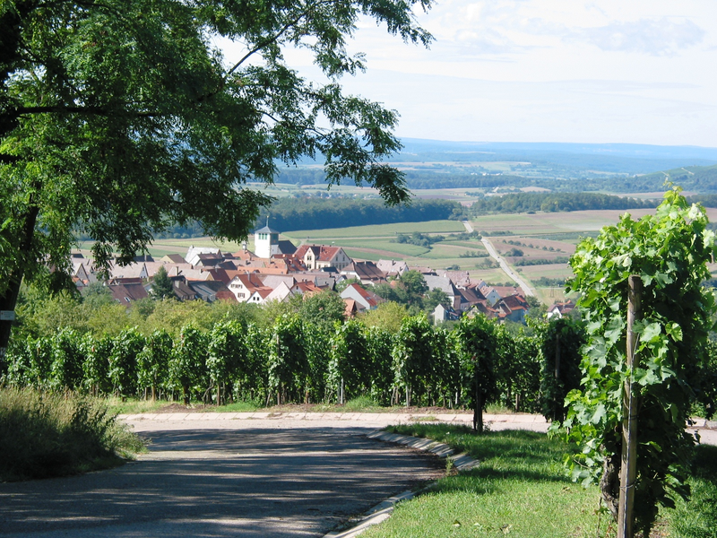 Ein malerisches Dorf mit roten Dächern liegt inmitten von grünen Weinbergen und sanften Hügeln unter einem klaren Himmel.