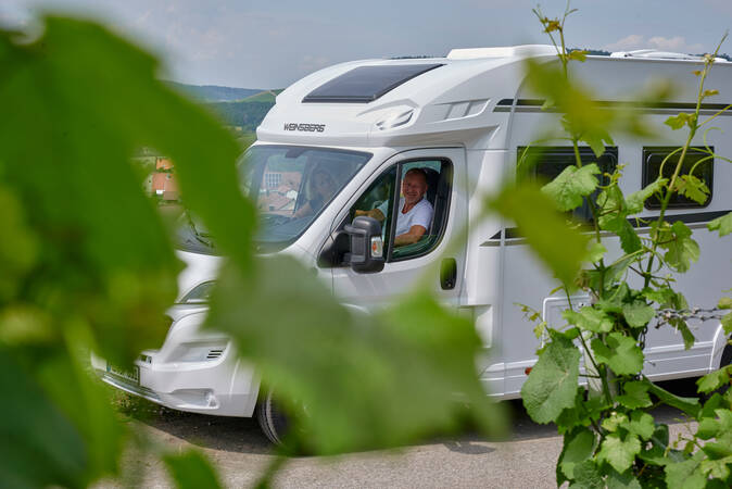Ein Wohnmobil steht auf einem Parkplatz, teilweise von grünen Blättern verdeckt, mit einem lächelnden Fahrer im Fahrerhaus.