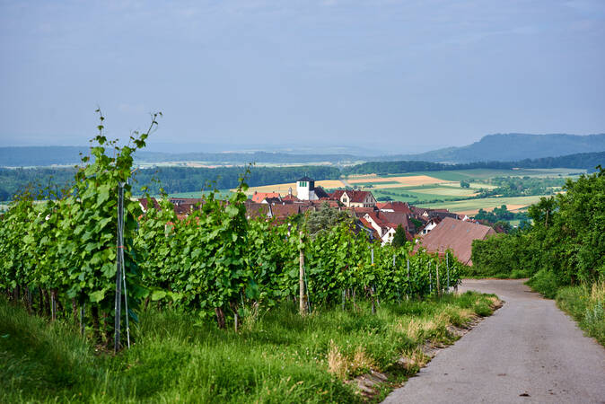 Ein Weg führt durch Weinreben zu einem Dorf mit roten Dächern, eingebettet in eine grüne Landschaft mit Feldern und Hügeln im Hintergrund.