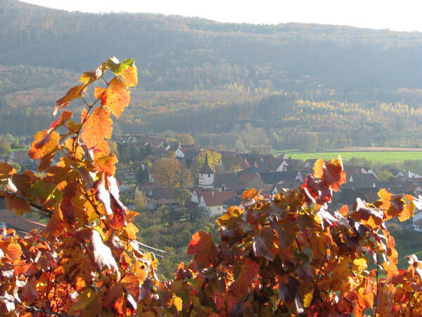Im Vordergrund sind leuchtend rote Weinblätter zu sehen, mit Blick auf ein Dorf im Tal und einen bewaldeten Hügel im Hintergrund.