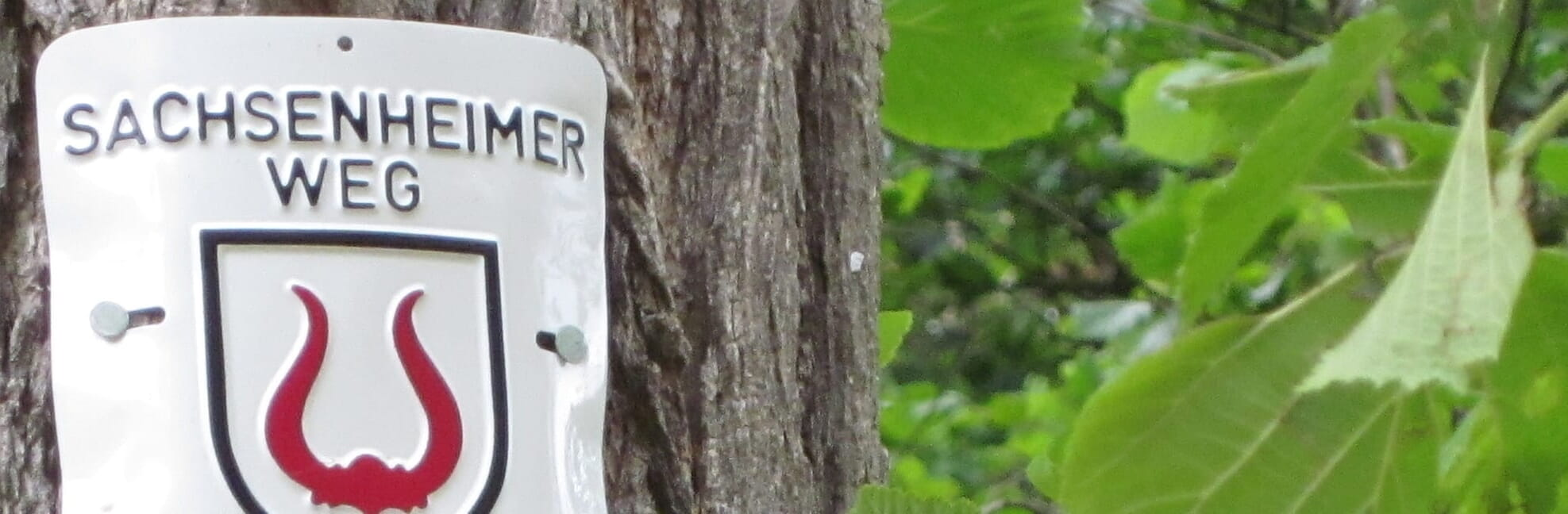 Ein Schild mit der Aufschrift "Sachsenheimer Weg" und einem roten Hornsymbol hängt an einem Baumstamm, umgeben von grünen Blättern.